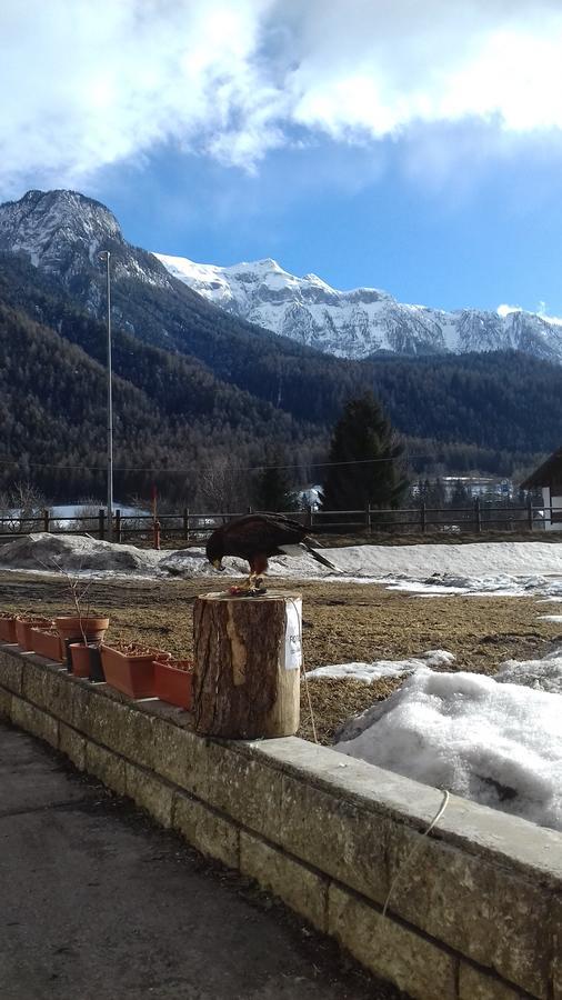 B&B Nido Delle Aquile Monclassico Dış mekan fotoğraf